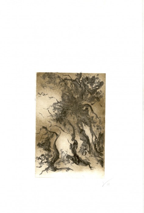 Monotype